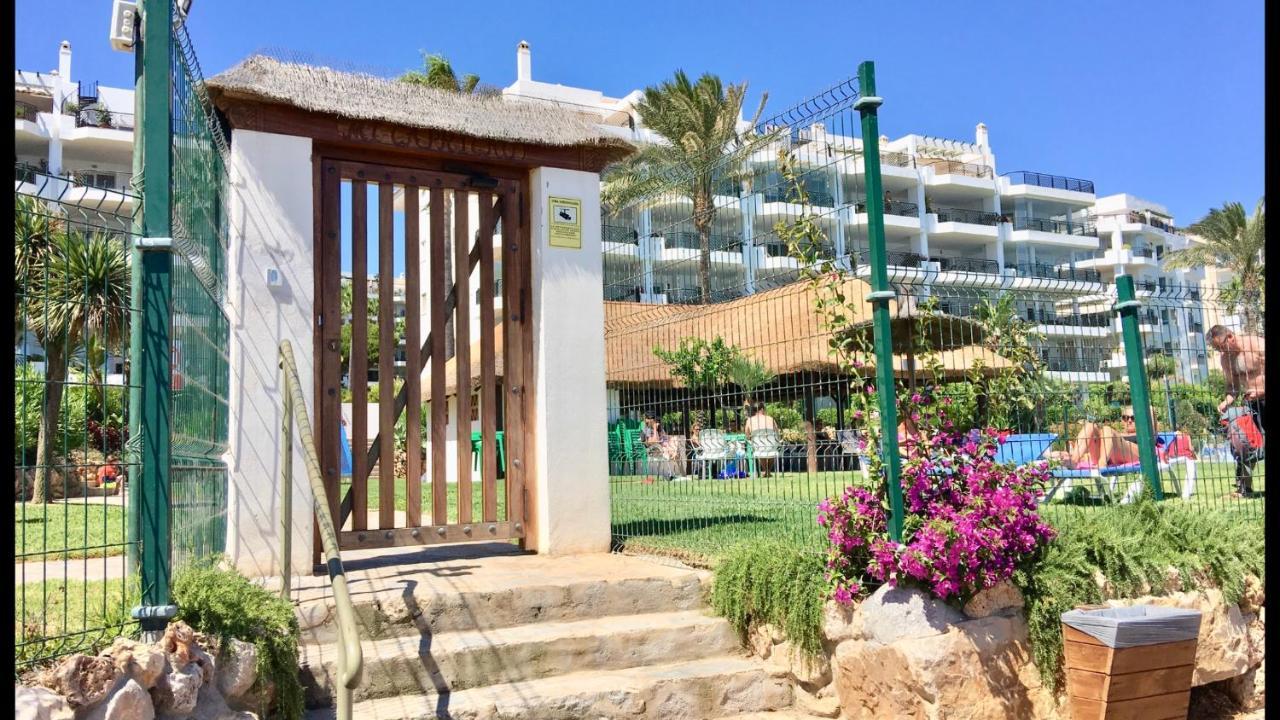 Mi Capricho Beachfront- 3-7 Apartment With Sea Views Ситио-де-Калаонда Экстерьер фото