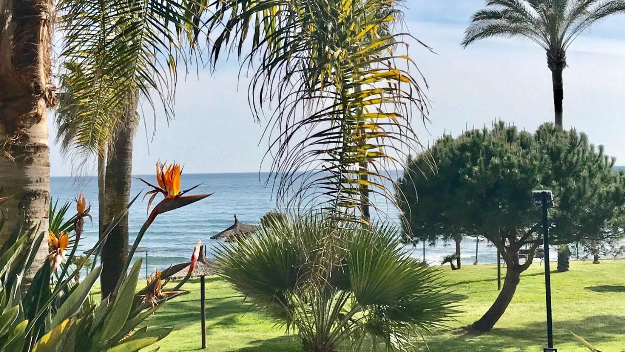 Mi Capricho Beachfront- 3-7 Apartment With Sea Views Ситио-де-Калаонда Экстерьер фото